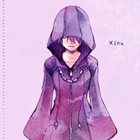 The 14th member of Organization XIII