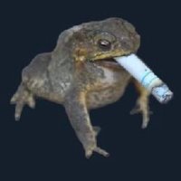 🐸(@frogpondPC) 's Twitter Profile Photo