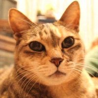 なまでこの鉄道写真館 (@namadeko01) 's Twitter Profile