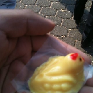 luisjavier_1's profile picture. 