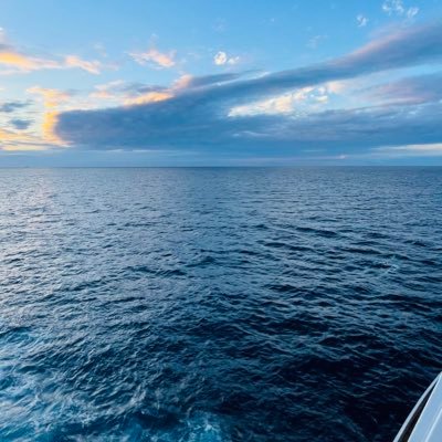 EdwardShangin's profile picture. Virginia Tech 2024 HSHS Alumni  Striving to better myself and make a change in the world through Biomedical Engineering.