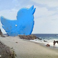Cz Czz (@czczzczz) 's Twitter Profile