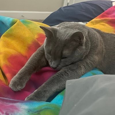 Gale_Guardian's profile picture. any/all (fuck gender) - Masc presenting - Anti-capitalist - Anarcho-communist - AMAB