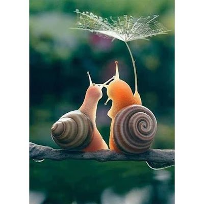 ihatebubbles07's profile picture. 