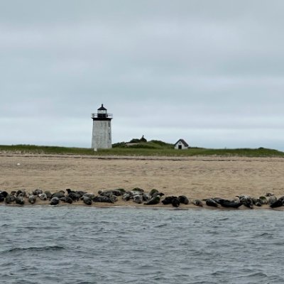 tjtjd's profile picture. 