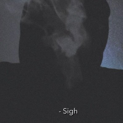 Muddkipx's profile picture. 