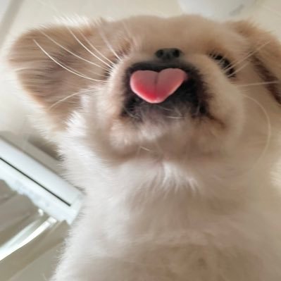 _xm096's profile picture. 20↑rom専