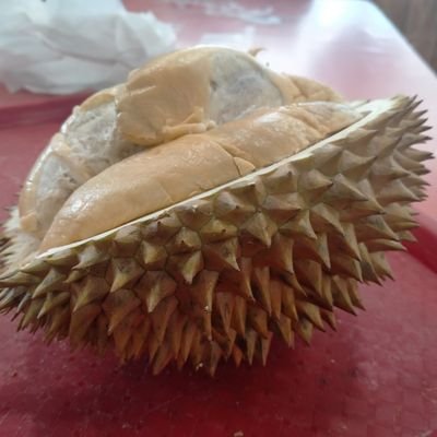 Pemuda Palembang Penggemar Durian aventourir Pemberontak Revolusioner Cripto Financial movement kesadaran Global Menyambut Datangnya Anarkisme Kripto