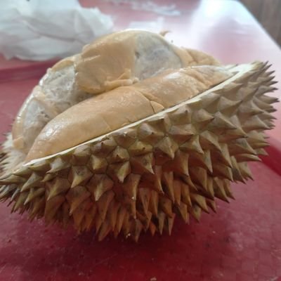 Pemuda Palembang Penggemar Durian aventourir Pemberontak Revolusioner Cripto Financial movement kesadaran Global Menyambut Datangnya Anarkisme Kripto