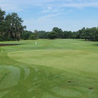 Tyler Minamyer (@tminamyer) 's Twitter Profile