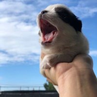 taeerraeee (@swaetrraeee) 's Twitter Profile