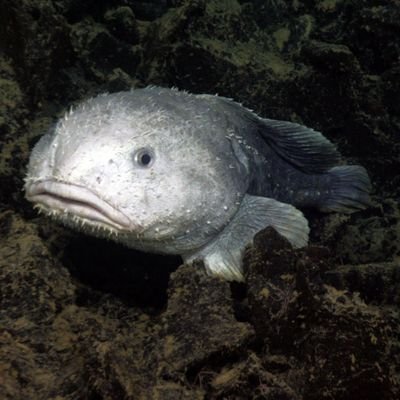 Drakoxys's profile picture. 