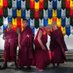 Chintapo Raj Sonam Rinchen (@iolanta54662786) Twitter profile photo Chintapo Raj Sonam Rinchen (@iolanta54662786) Twitter profile photo