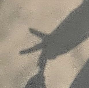 ice_decaf's profile picture. 