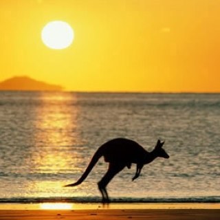 toprydedepot's profile picture. 