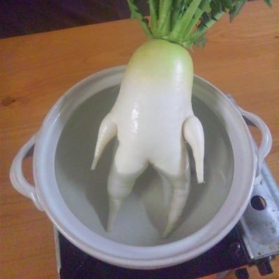 nao05577's profile picture. 