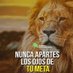 LUCKA LOBO (@lukas_kokoloko) Twitter profile photo LUCKA LOBO (@lukas_kokoloko) Twitter profile photo