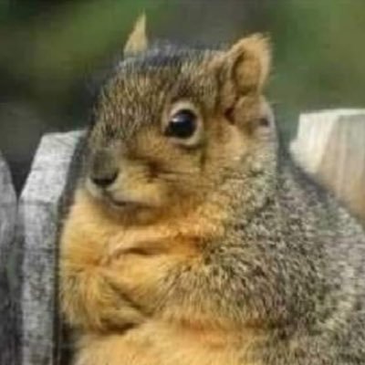 laomao198908's profile picture. 