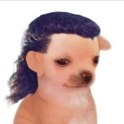 PonchosRey's profile picture. 