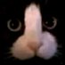 lexifur_bubbles (@galaxowo) Twitter profile photo lexifur_bubbles (@galaxowo) Twitter profile photo