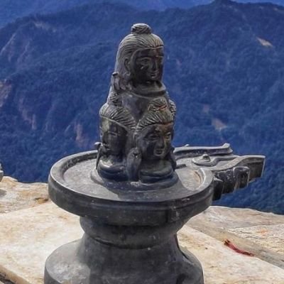 shashwat7satyam's profile picture. 