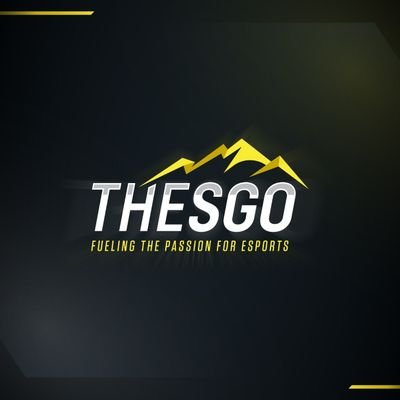 THESGO's profile picture. The South Gamers Online, Portal dedicado a los deportes electrónicos y competitivos