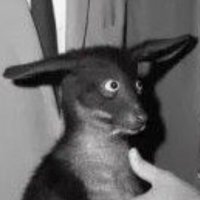 Eclectic compendom (@richard14839989) 's Twitter Profile