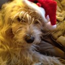 Jeanne Costa - @luckee3 - Twitter