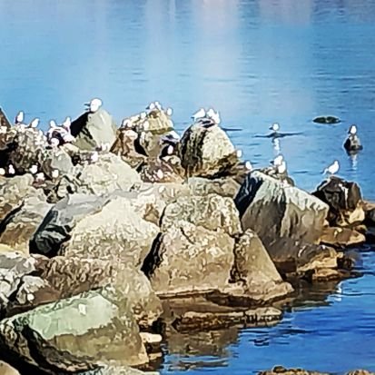 varoluşçu saçmalamalar , birtakım sayıklamalar