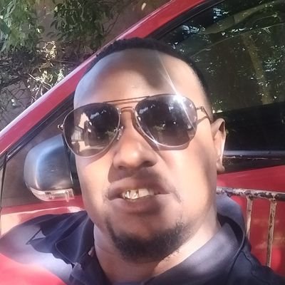 wise223425480's profile picture. 