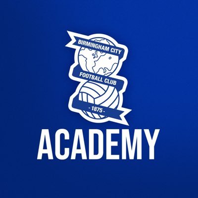 BCFCAcademy Profile Picture