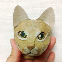 ダンボールで猫を作る人(@cat_cardboard_) 's Twitter Profile Photo