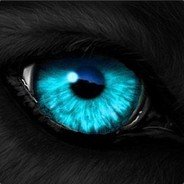 L33437Lutz's profile picture. I’m actually not funny. I’m just really mean and people think I am joking.