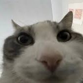 uiasdsud's profile picture. learning AI