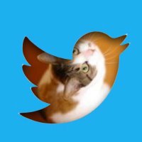 Hussy Neil (@hussy) 's Twitter Profile