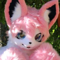 Caeles the Sylveon (@eevee_with_ice) 's Twitter Profile