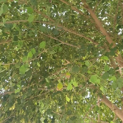 AliJanBugti19's profile picture. Life is big question fo me