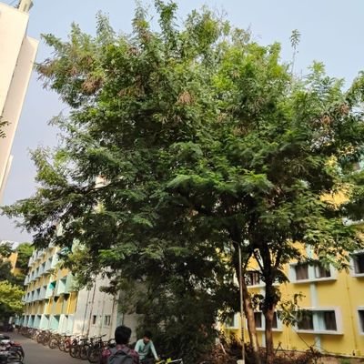 subhamiitm's profile picture. Ph.D student at IIT Madras, working on ductile fracture in metals.