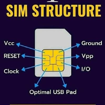 CCNA | Cyber Security | Information Technology | Kali Linux | Programming |Entrepreneur