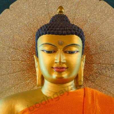 thankubuddha Profile Picture