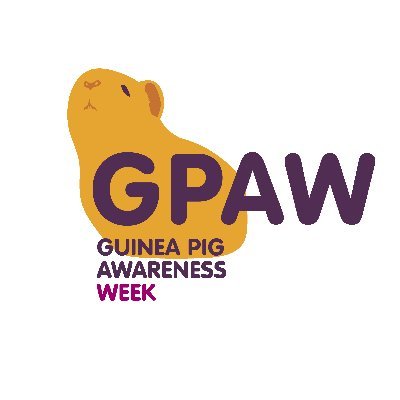 Guinea Pig Awareness Week
🐹 GPAW 2023 🐹
💛25th-29th September💛
Raising awareness for the welfare of guinea pigs all around the world 🌎