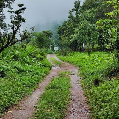 Travel | Fitness | Data Viz | Ambivert

📍Bengaluru