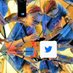Conni &🕊 (@freitagsfrau) Twitter profile photo Conni &🕊 (@freitagsfrau) Twitter profile photo