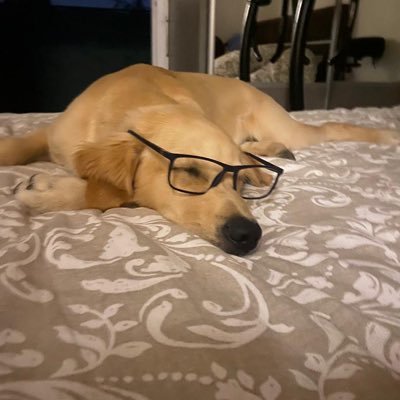 Liberte13100's profile picture. 