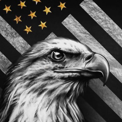 SaeedAasir's profile picture. 🎄 MERRY CHRISTMAS 🎄