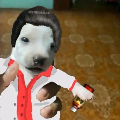 Lillatinoo's profile picture. 