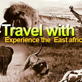 Specialists in Holidays (adventure, honeymoon, beach, culture..), conferences & business trips throughout East Africa & Beyond