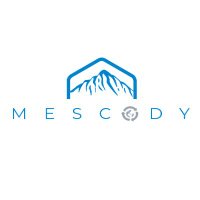 Mescody(@MescodySA) 's Twitter Profile Photo