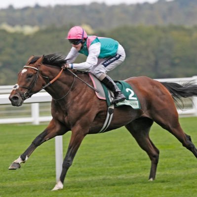 Love horse racing, boxing and the occasional bet.
