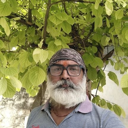 RajaPainte44301's profile picture. दिन गुज़रते गए, विश्वास बदलते गए, सरकार आती गई और विकास बढ़ता गया